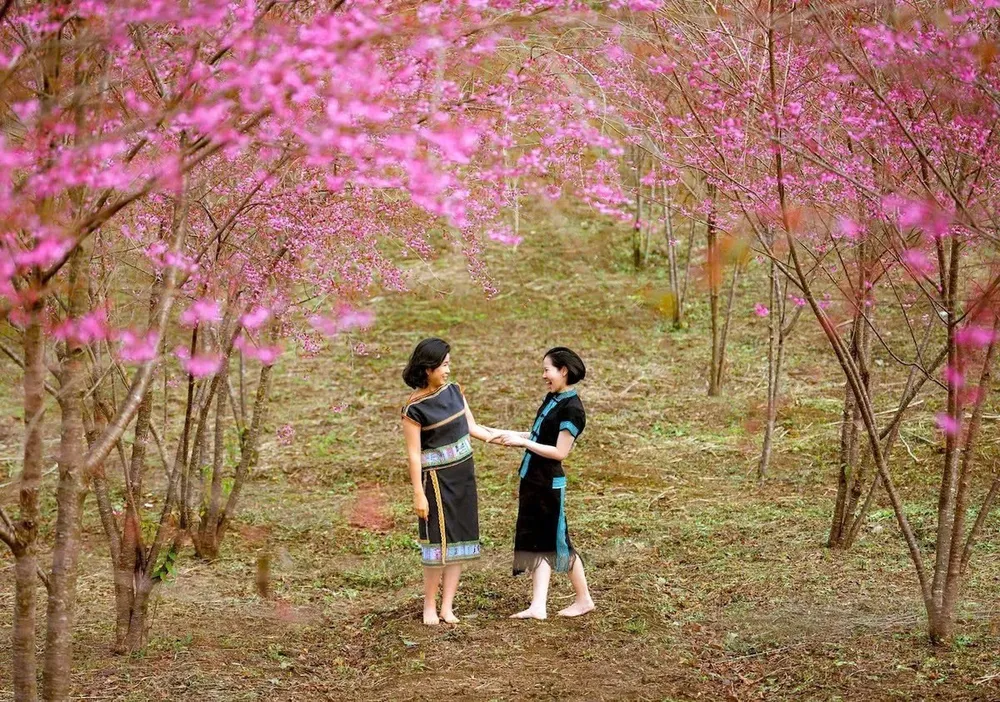 Măng Đen là điểm đến yêu thích của nhiều du khách. Tỉnh Quảng Ngãi sau sáp nhập: Liên kết du lịch từ đại ngàn xuống biển khơi