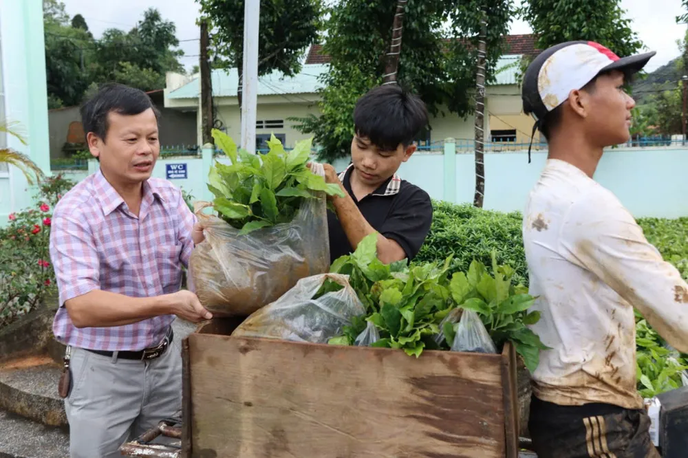 Hơn 100 ngàn cây giống, 2 tấn phân bón thay hoa mừng Đại hội Đảng bộ xã Tu Mơ Rông