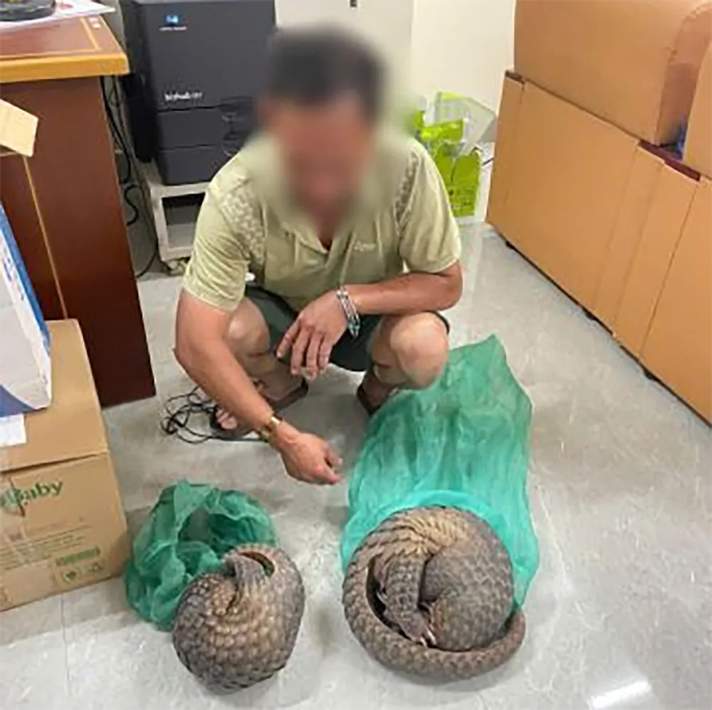 dang-cho-2-con-te-te-quy-hiem-di-tieu-thu-thi-bi-bat- (2).png