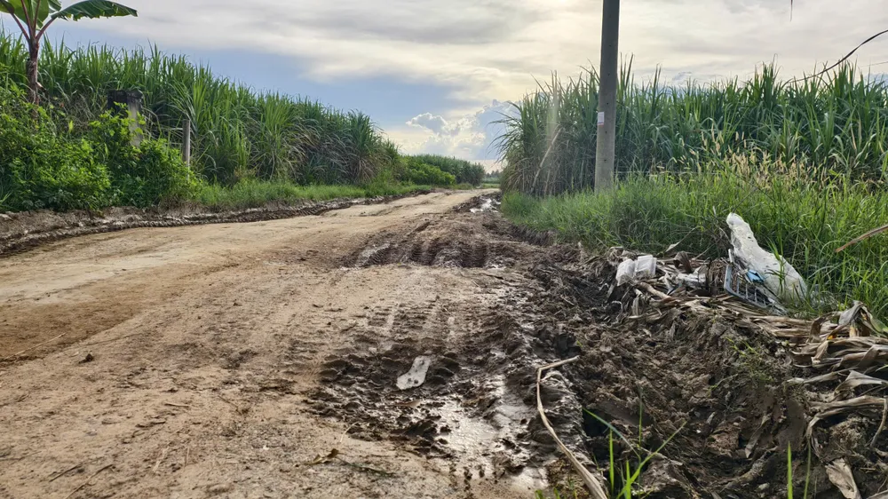 cau-121-ti-dong-xay-xong-3-nam-nam-cho-duong-dan (4).jpg