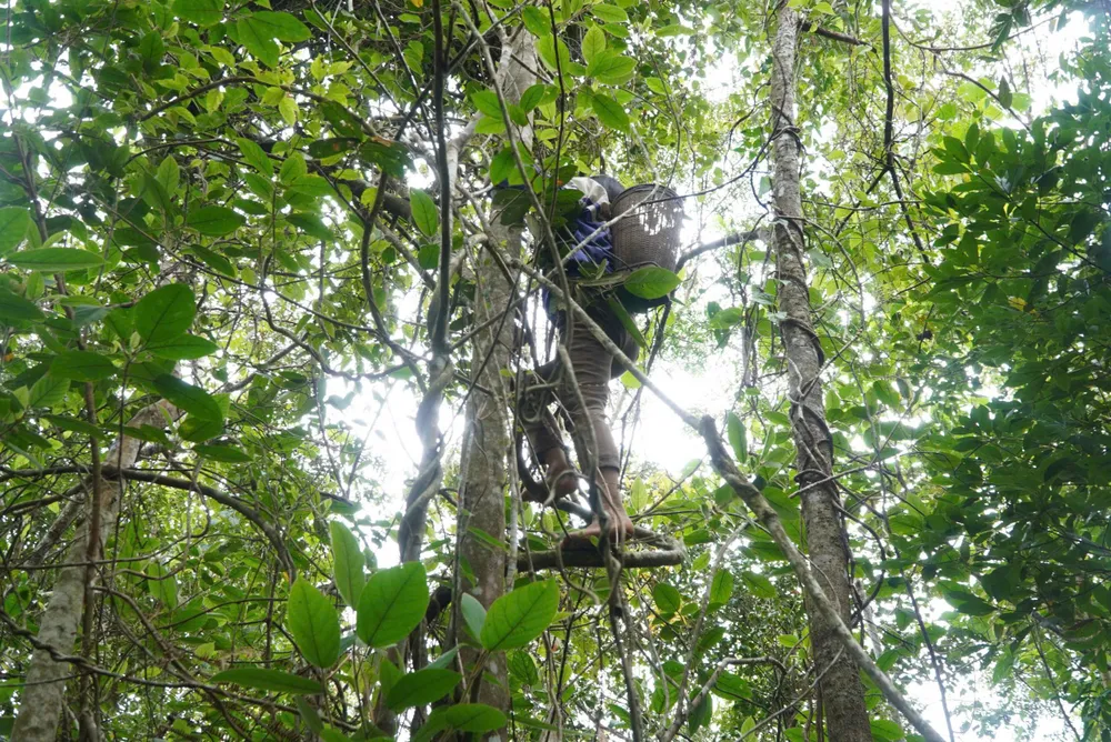 theo-chan-nguoi-xo-dang-len-rung-hai-ngu-vi-tu-kiem-tien-trieu-moi-ngay (18).jpg