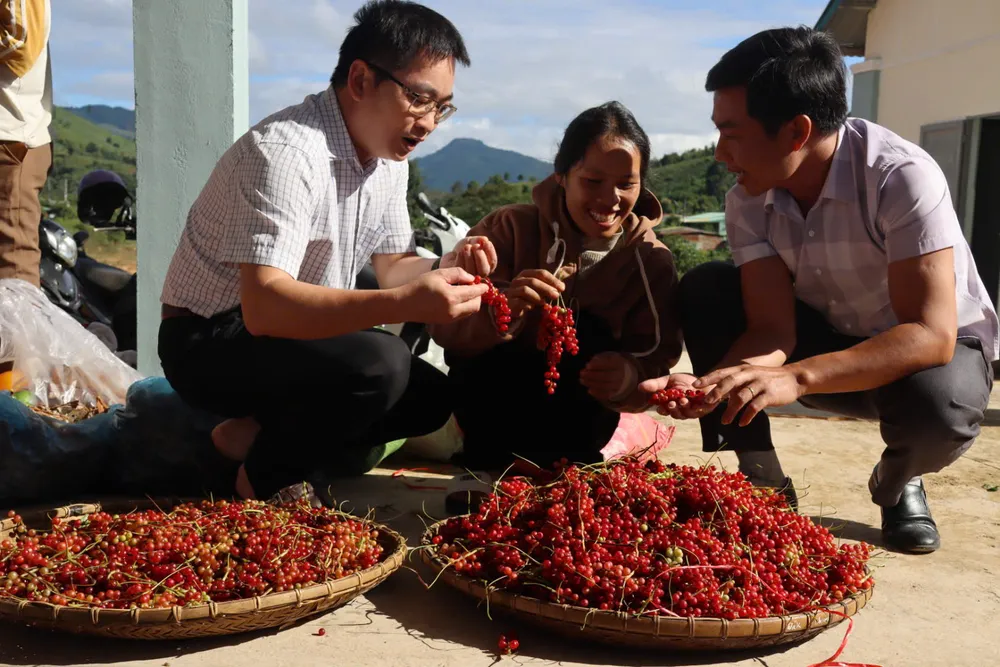 theo-chan-nguoi-xo-dang-len-rung-hai-ngu-vi-tu-kiem-tien-trieu-moi-ngay (4).jpg