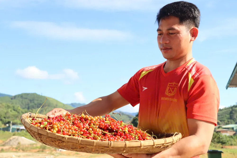 theo-chan-nguoi-xo-dang-len-rung-hai-ngu-vi-tu-kiem-tien-trieu-moi-ngay (9).jpg