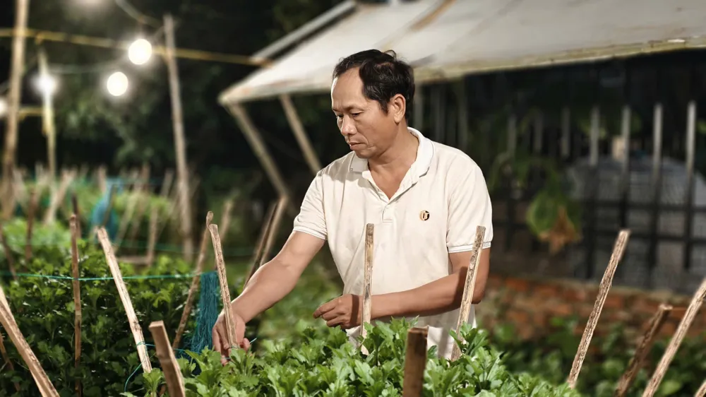 trieu-anh-den-lung-linh-lang-hoa-cuc-tet- (2).jpg