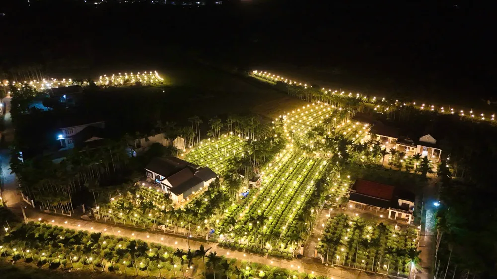 trieu-anh-den-lung-linh-lang-hoa-cuc-tet- (23).jpg