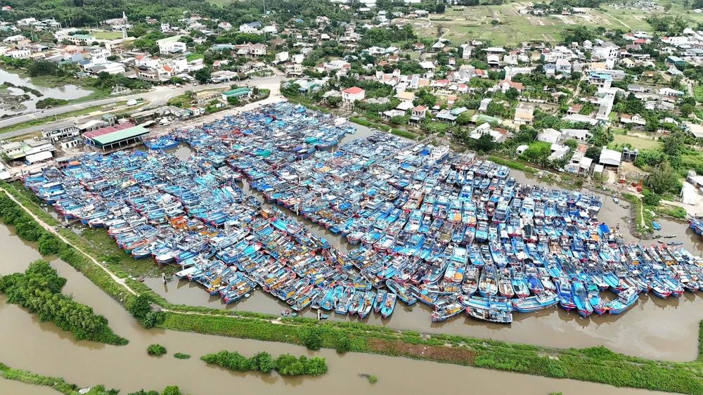 Cảng cá Tịnh Hòa.