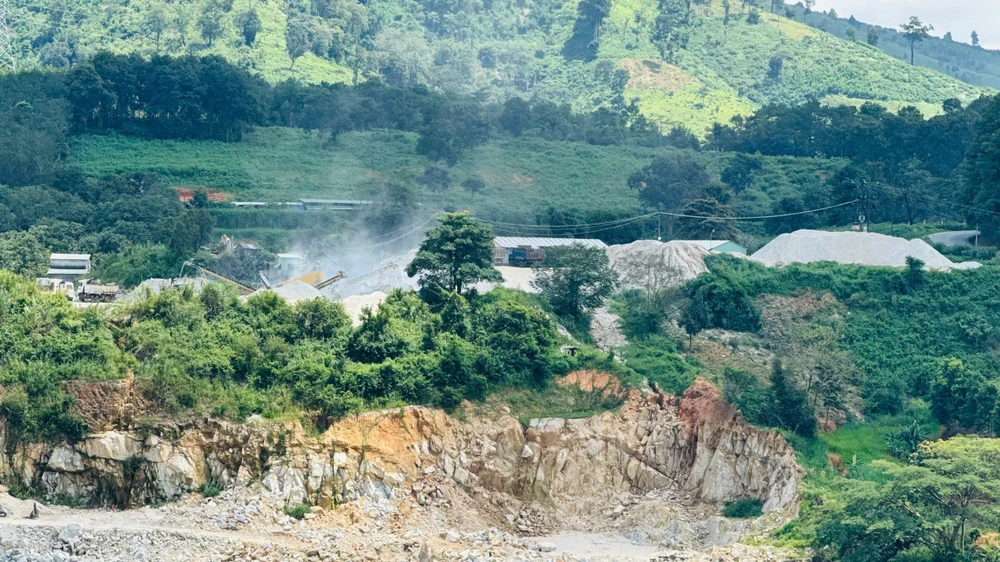 cat-soi-phia-tay-quang-ngai-khan-hiem-gia-bi-day-len-cao- (4).jpg