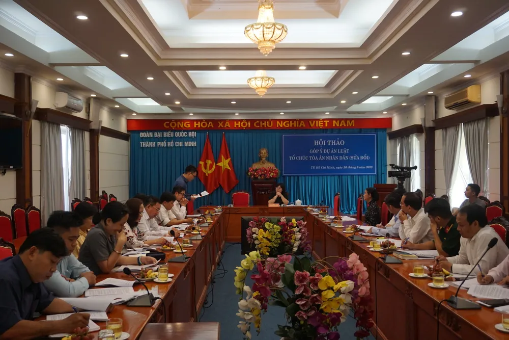Đoàn ĐBQH TP.HCM tổ chức hội thảo góp ý dự án Luật Tổ chức TAND (sửa đổi). Ảnh: MINH CHUNG dai-bieu-quoc-hoi-tphcm.JPG