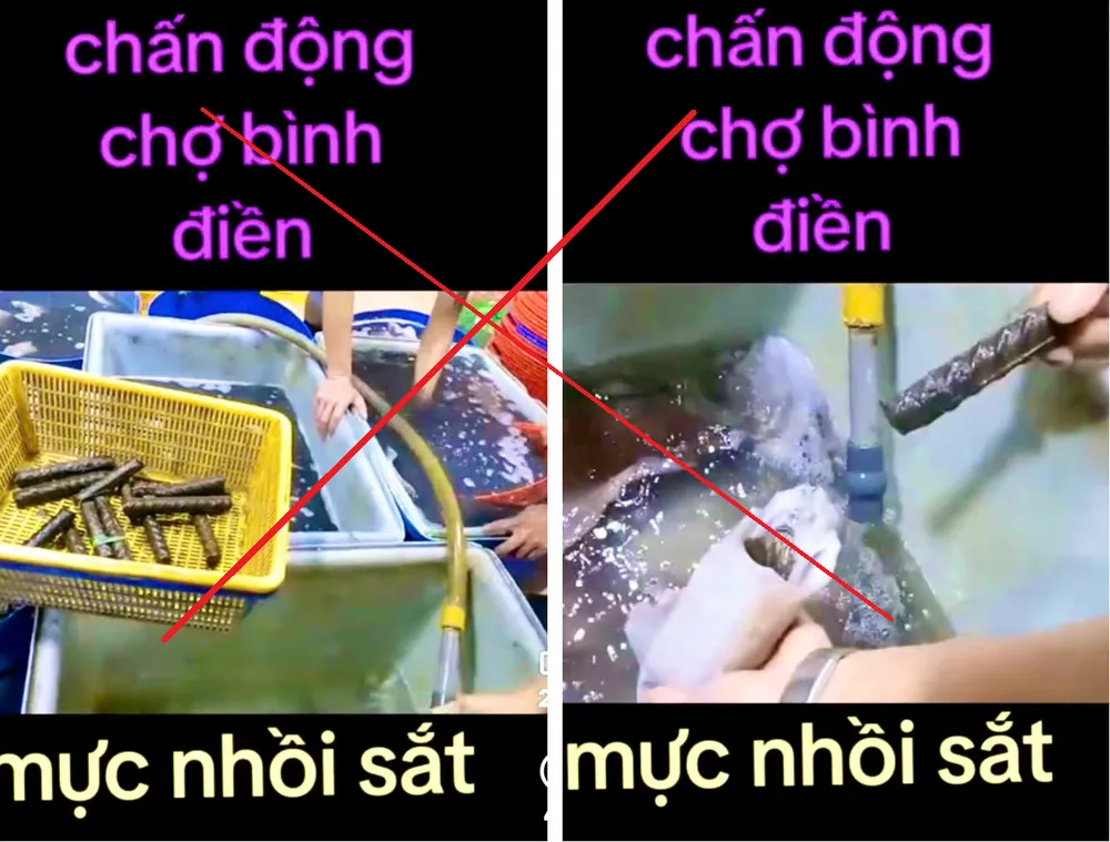 mực nhồi sắt