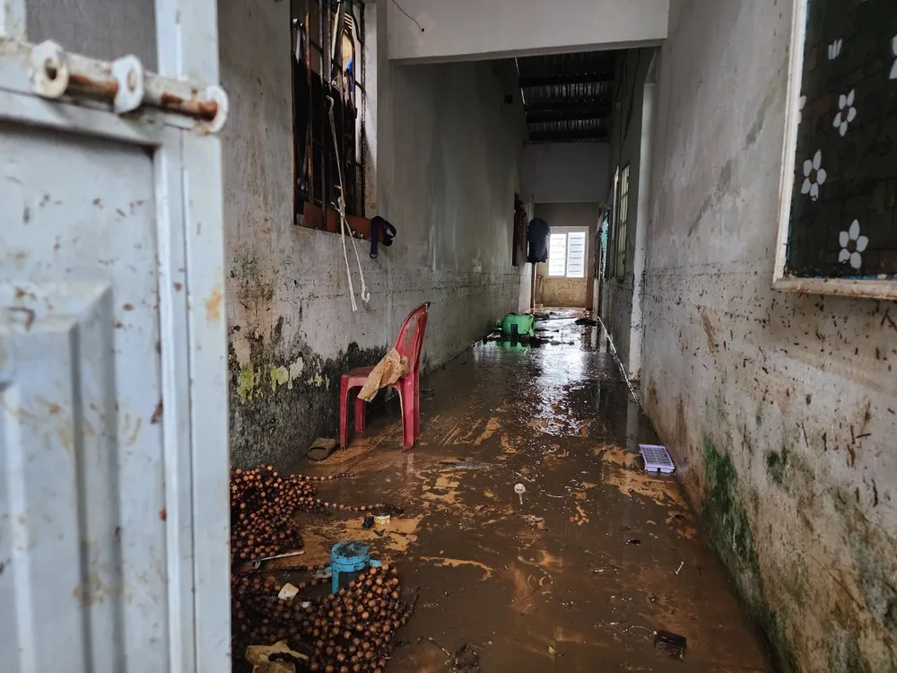 da nang canh hoang tan.jpg