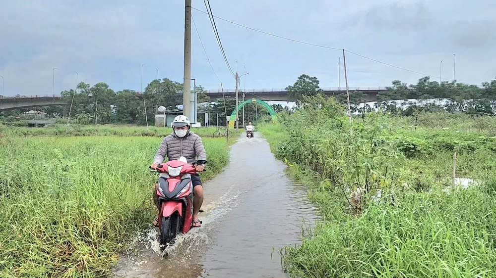 nuop rut nguoi dan ra mot rau.jpg