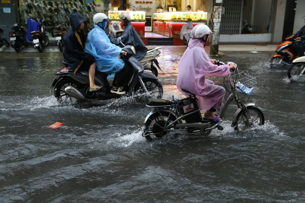 xe dap dien da nang.JPG