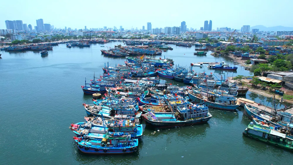 Đà Nẵng có 310 tàu cá chưa đăng kiểm, đăng ký. Ảnh: MINH TRƯỜNG. tau-ca-chua-dang-kiem.jpg