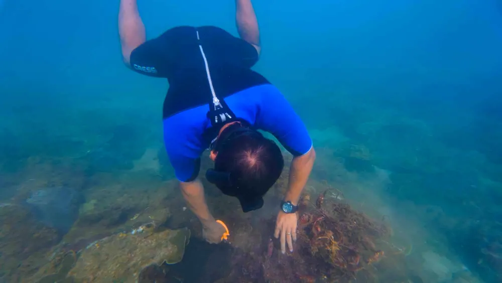 xuống biển nhặt rác