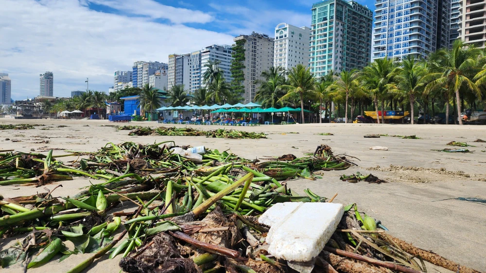 biển đà nẵng ngập rác