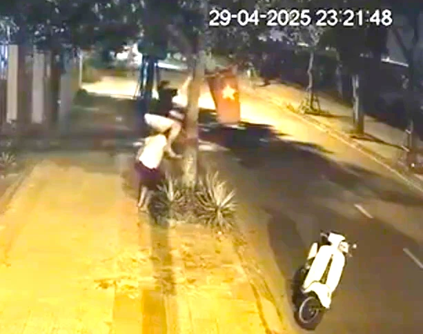 Hai người đàn ông cõng nhau để hái quả mít trên cao. Ảnh: Cắt từ clip ăn trộm quả mít