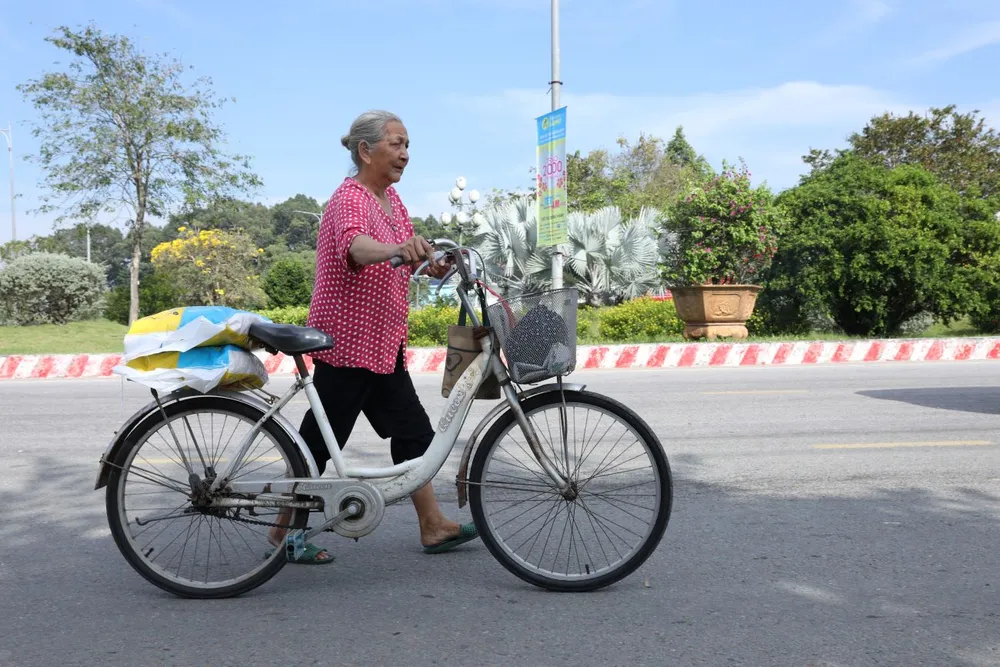 hàng chục tỉ đồng