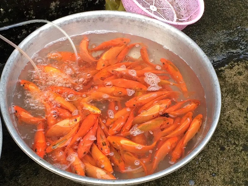 Cận cảnh: Tấp nập mua đồ cúng ngày ông Táo lên trời ảnh 6