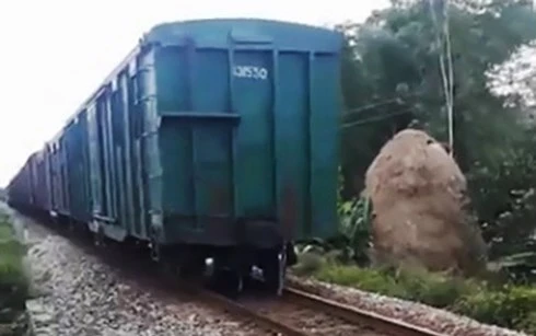 tau cho hang dut toa duong sat bac nam bi gian doan gan nua gio hinh 2