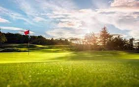 Hơn 200 VĐV sẽ tham gia thi đấu tại Sân golf Tân Sơn Nhất (quận Gò Vấp) vào lúc 11 giờ 30 ngày 20-1-2024. Ảnh: Internet. golf.jpeg