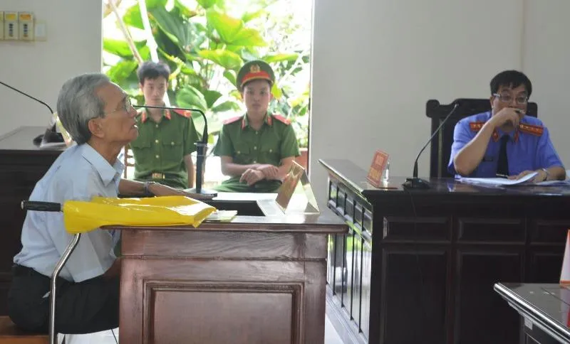 Đang xử giám đốc thẩm vụ Nguyễn Khắc Thủy dâm ô trẻ em ảnh 1