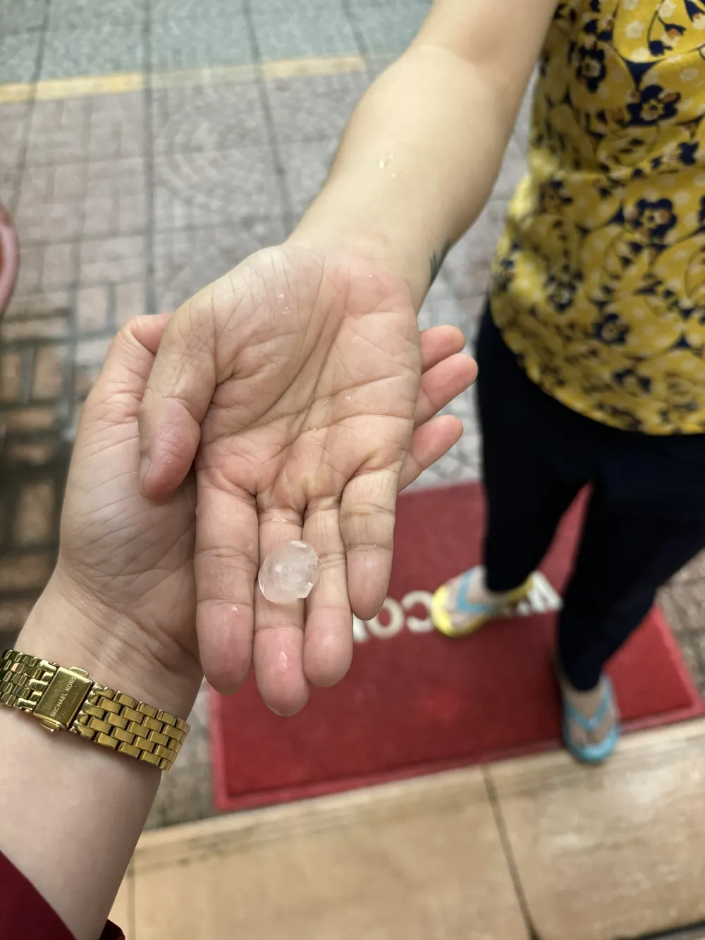 Người dân TP.HCM thích thú khi có mưa đá. Ảnh: HUYỀN TRANG z5538385962707_7c8e27746c1f174476f0a7e29dd8ab3e.jpg