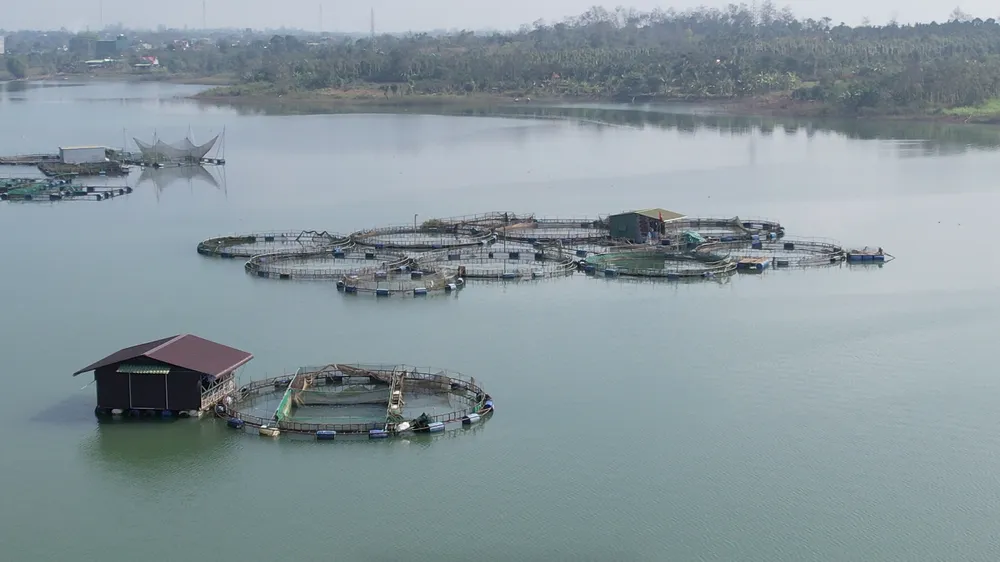 Krông Buk Hạ 13.png