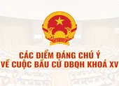 Infographic: Thông tin đáng chú ý về bầu cử Quốc hội khóa XV