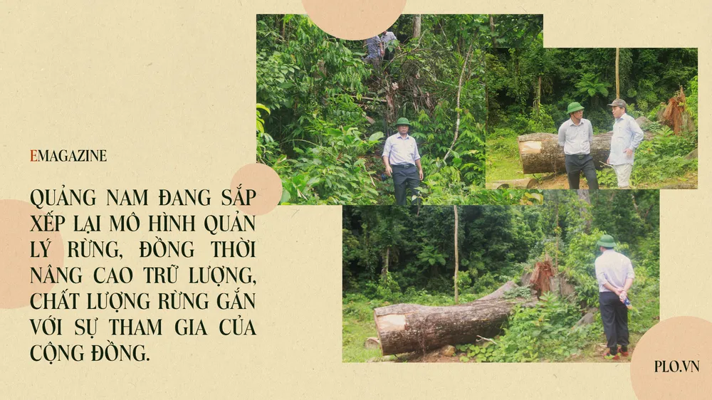 Emagazine: Chủ tịch Quảng Nam và 4 điểm nhấn phát triển ảnh 5