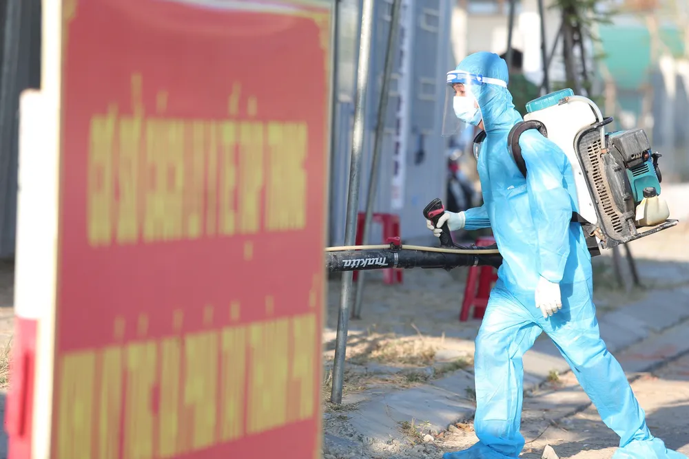 Hơn 69 triệu cử tri cả nước đi bầu cử ảnh 19