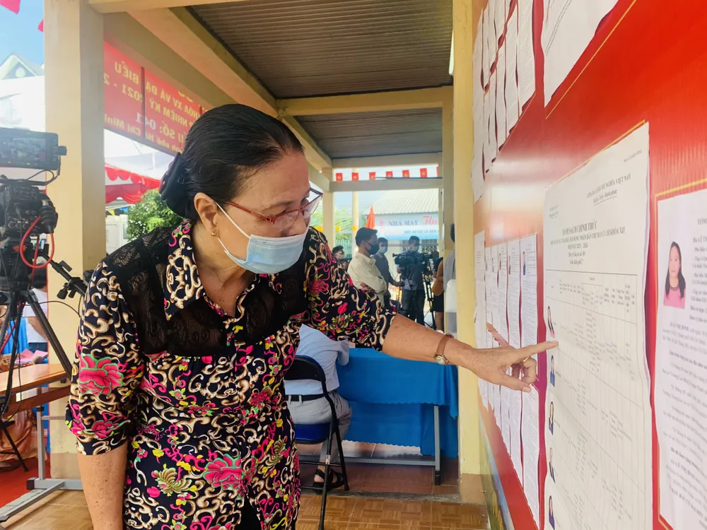 Hơn 69 triệu cử tri cả nước đi bầu cử ảnh 6