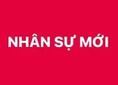 Phó Chủ nhiệm UB Quốc phòng và An ninh của Quốc hội thăng quân hàm Trung tướng ảnh 2 Bổ nhiệm 3 Trợ lý Thủ tướng, Phó Thủ tướng