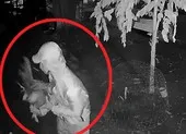 Thêm 1 nhóm dọa giết chủ nhà, trộm 14 con gà đá ở Bình Chánh