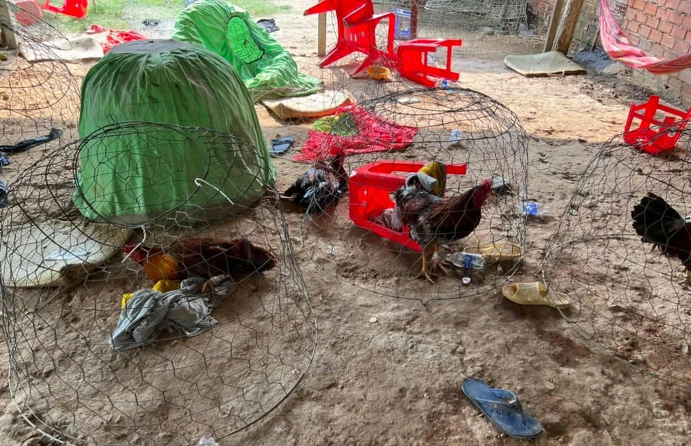 Sới bạc với hình thức đá gà và tài xỉu quy mô lớn ở Bình Chánh đã bị triệt phá. Ảnh: NT