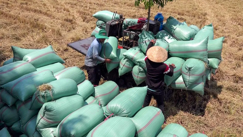 Đại hội đại biểu toàn quốc Hội Nông dân Việt Nam nhiệm kỳ 2023-2028 là sự kiện chính trị quan trọng của giai cấp nông dân và tổ chức Hội Nông dân Việt Nam. Ảnh minh họa: CHÂU ANH