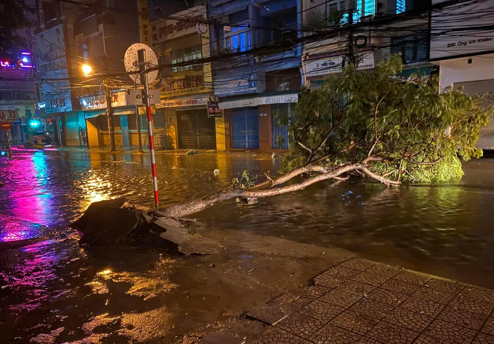 Gió lớn đã làm 1 cây xanh trên đường Ông Ích Khiêm (phường Thạch Thang, quân Hải Châu, Đà Nẵng) bật gốc, chắn ngang hết mặt đường. Hiện trời vẫn đang mưa rất to. Ảnh: HẢI HIẾU