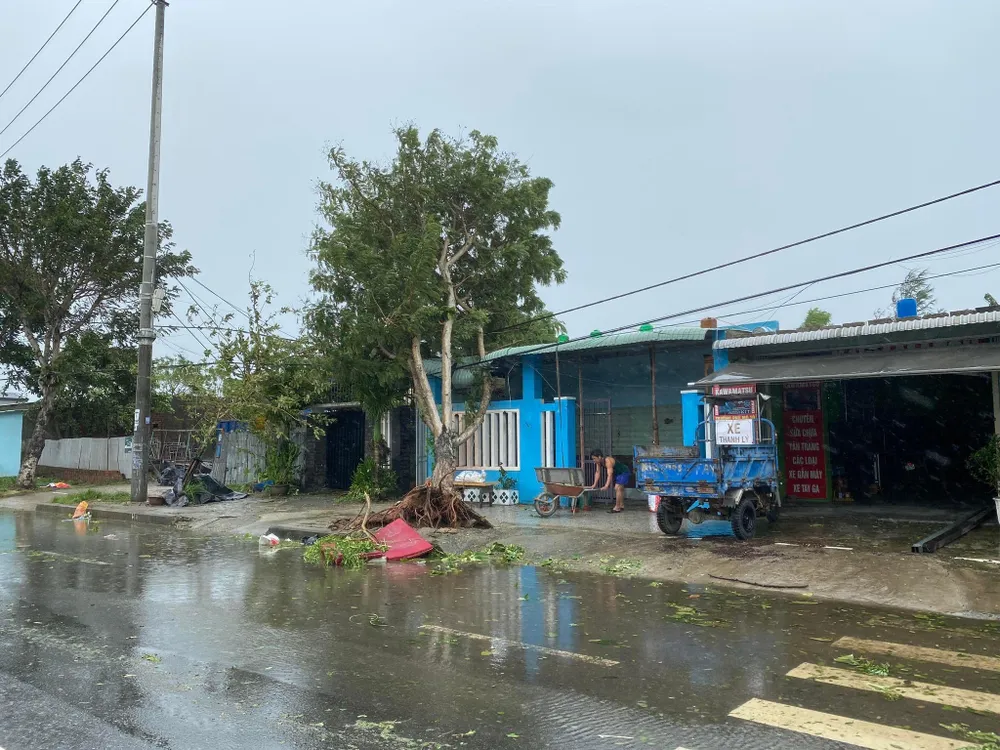 Một căn nhà bị cây xanh ngã đè trúng. Ảnh: HẢI HIẾU