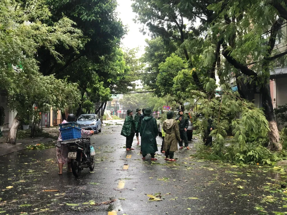 Lực lượng biên phòng, công an và điện lực đã ra quân dọn dẹp cây đổ. Ảnh: NGÔ QUANG