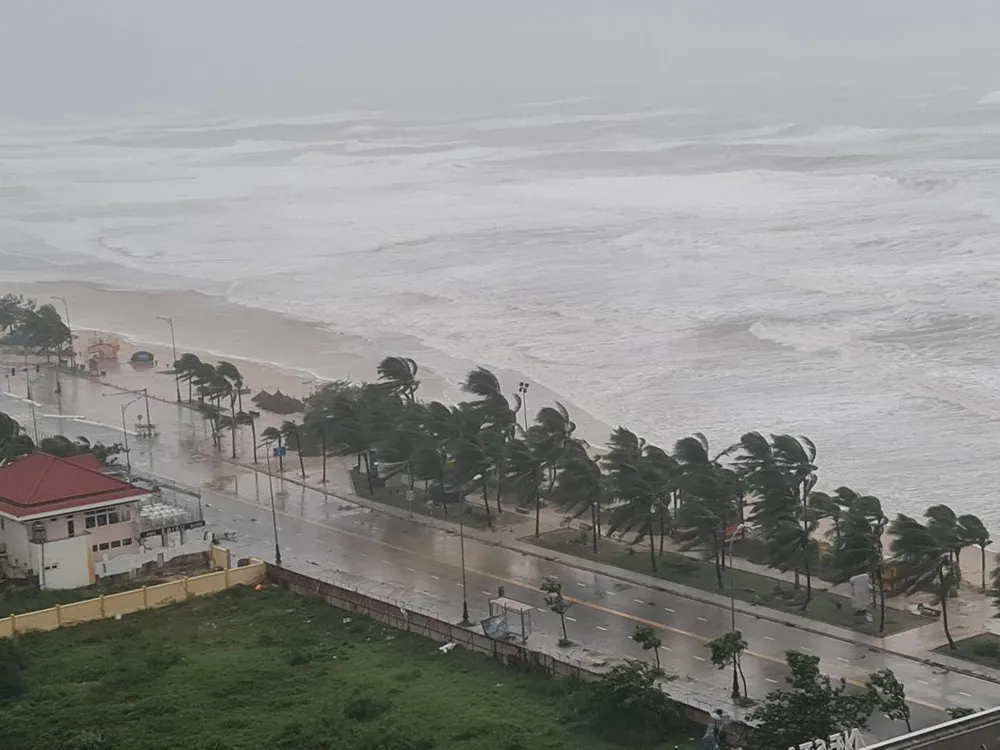 Những hàng dừa ở biển Mỹ Khê (Đà Nẵng) xơ xác sau bão. Ảnh: HẢI HIẾU