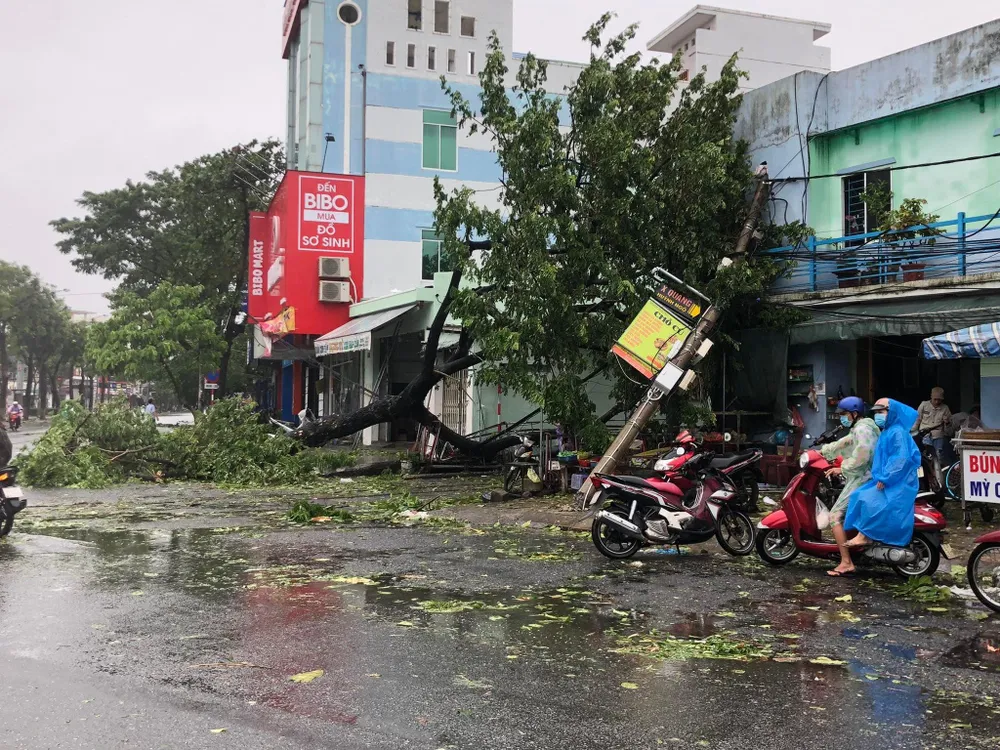 Nhiều cây đổ vào nhà dân ở Đà Nẵng. Ảnh: NGÔ QUANG