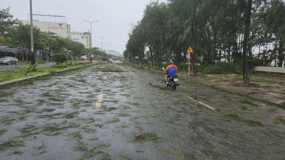 Bão số 4: Đã đổ bộ đất liền, Đà Nẵng- Quảng Nam bị bão quật tơi tả ảnh 30