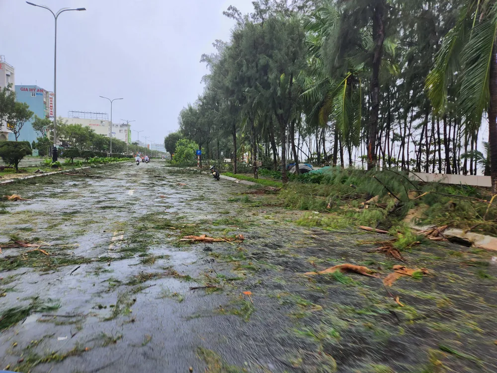 Bão số 4: Đã đổ bộ đất liền, Đà Nẵng- Quảng Nam bị bão quật tơi tả ảnh 33