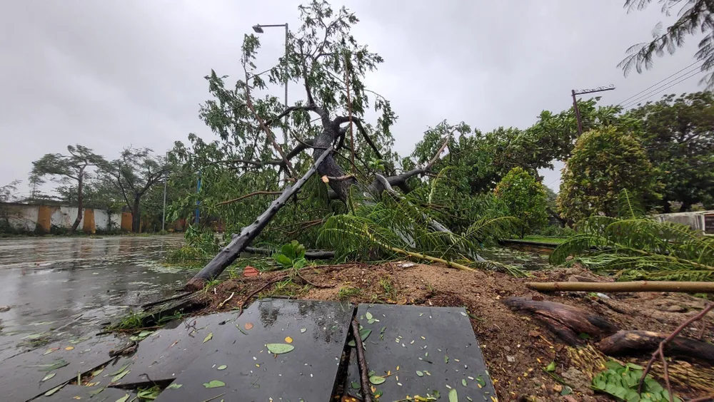 Bão số 4: Đã đổ bộ đất liền, Đà Nẵng- Quảng Nam bị bão quật tơi tả ảnh 22