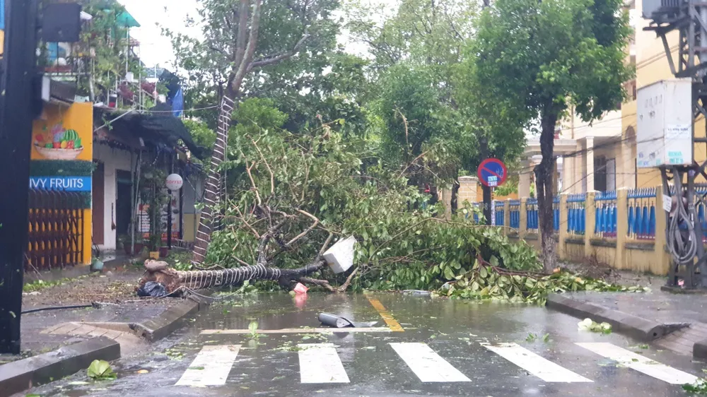 Bão số 4: Đã đổ bộ đất liền, Đà Nẵng- Quảng Nam bị bão quật tơi tả ảnh 23