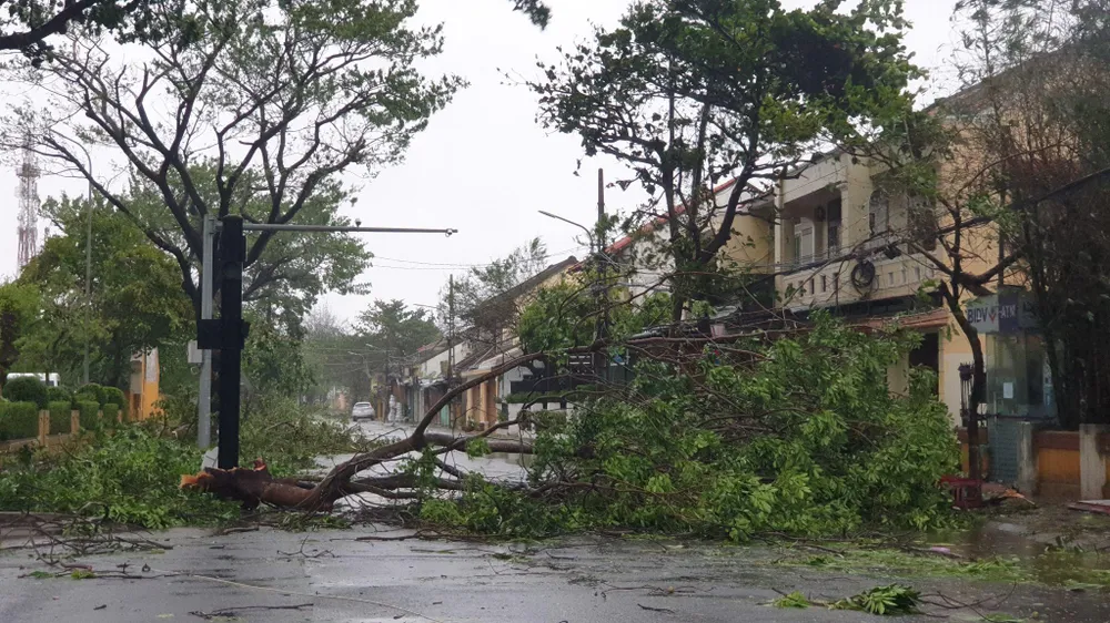 Bão số 4: Đã đổ bộ đất liền, Đà Nẵng- Quảng Nam bị bão quật tơi tả ảnh 24