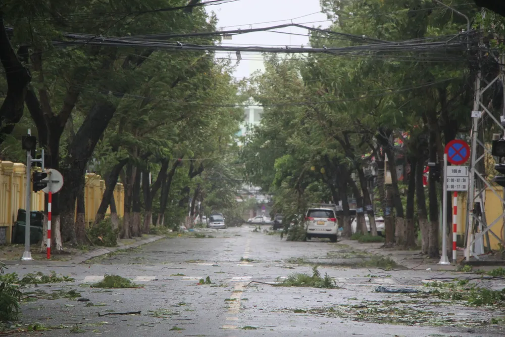 Bão số 4: Đã đổ bộ đất liền, Đà Nẵng- Quảng Nam bị bão quật tơi tả ảnh 11