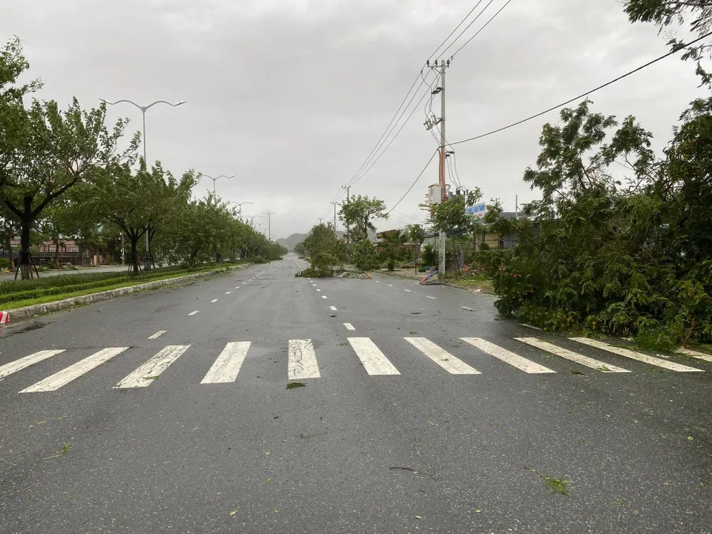 Nhiều cây xanh bị ngã đổ do bão quật. Ảnh: HẢI HIẾU