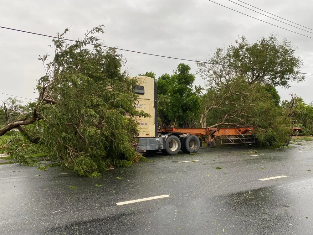 Một xe container đậu trên đường Lê Văn Hiến (quận Ngũ Hành Sơn, Đà Nẵng) bị cây xanh ngã đè trúng. Ảnh: HẢI HIẾU