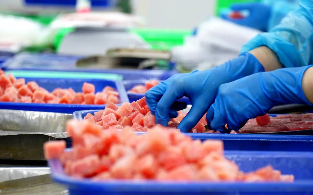 Phú Yên đang tìm mọi cách để nâng chuẩn chất lượng của các mặt hàng xuất khẩu, đẩy mạnh tiến sâu vào các thị trường khó tính, chẳng hạn như Nhật Bản. Ảnh: QUỐC VŨ