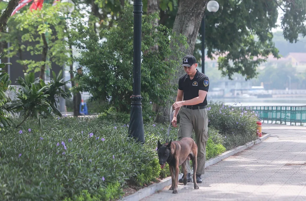 Chó nghiệp vụ cũng được đưa tới rà soát xung quanh khu vực đường Thanh Niên. Ảnh: PHI HÙNG